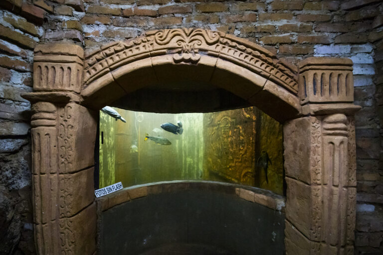 Aquarium Montecarlo foto 3