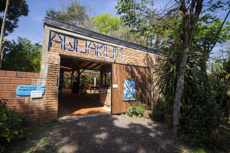 Aquarium Montecarlo
